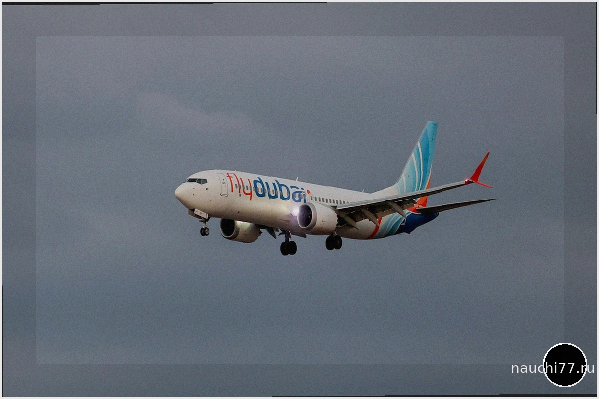 Посольство Израиля: инцидент на рейсе Flydubai мог быть терактом против Израиля