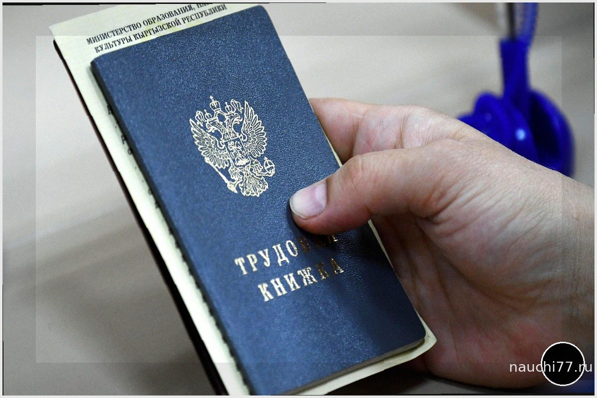 Отрасли с наибольшим спросом на специалистов в России