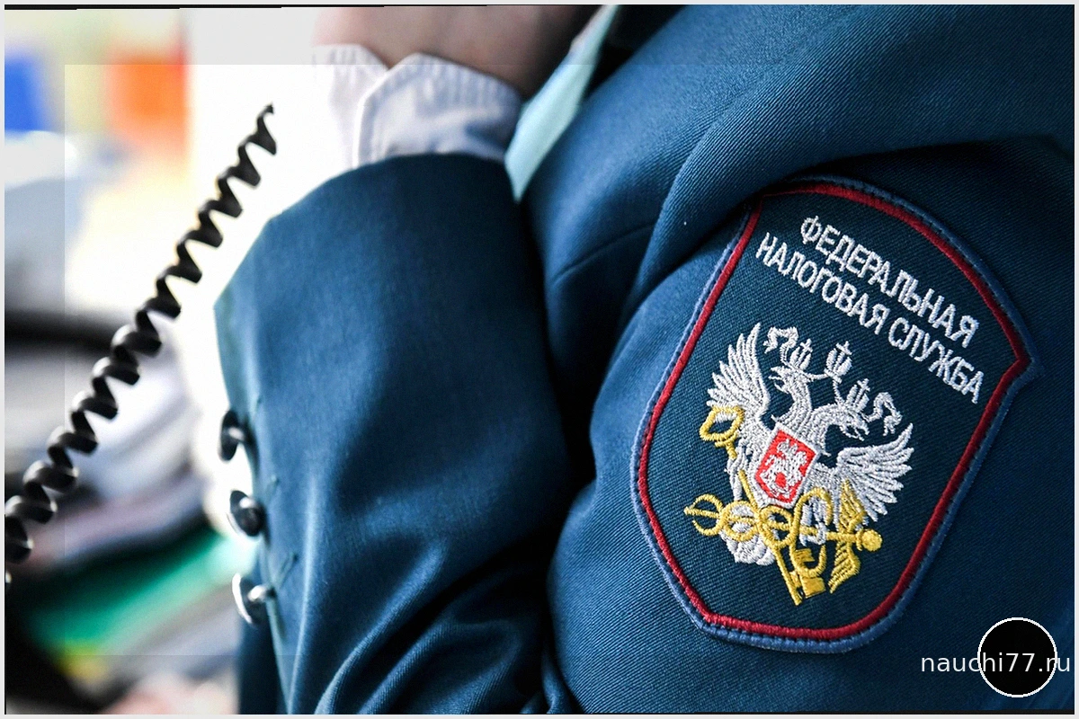 Иностранные специалисты уплатили в бюджет 81 миллиард налогов