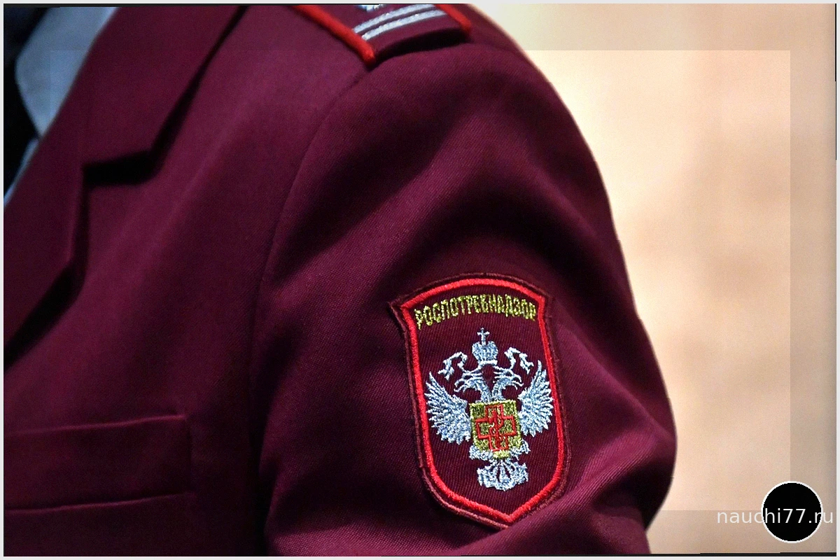 Проводится расследование по факту отравления школьников на Кубани