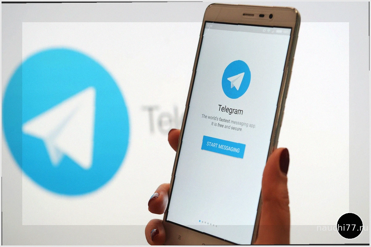 Telegram стал излюбленной платформой террористов, по словам IT-эксперта